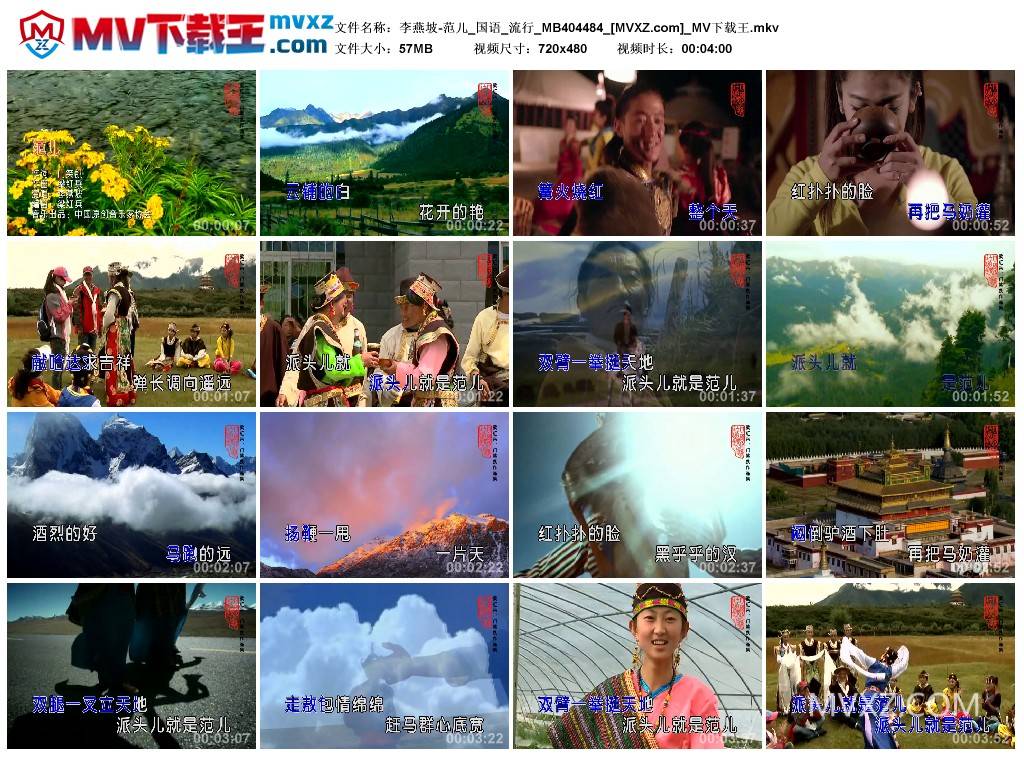 李燕坡-范儿_国语_流行_MB404484